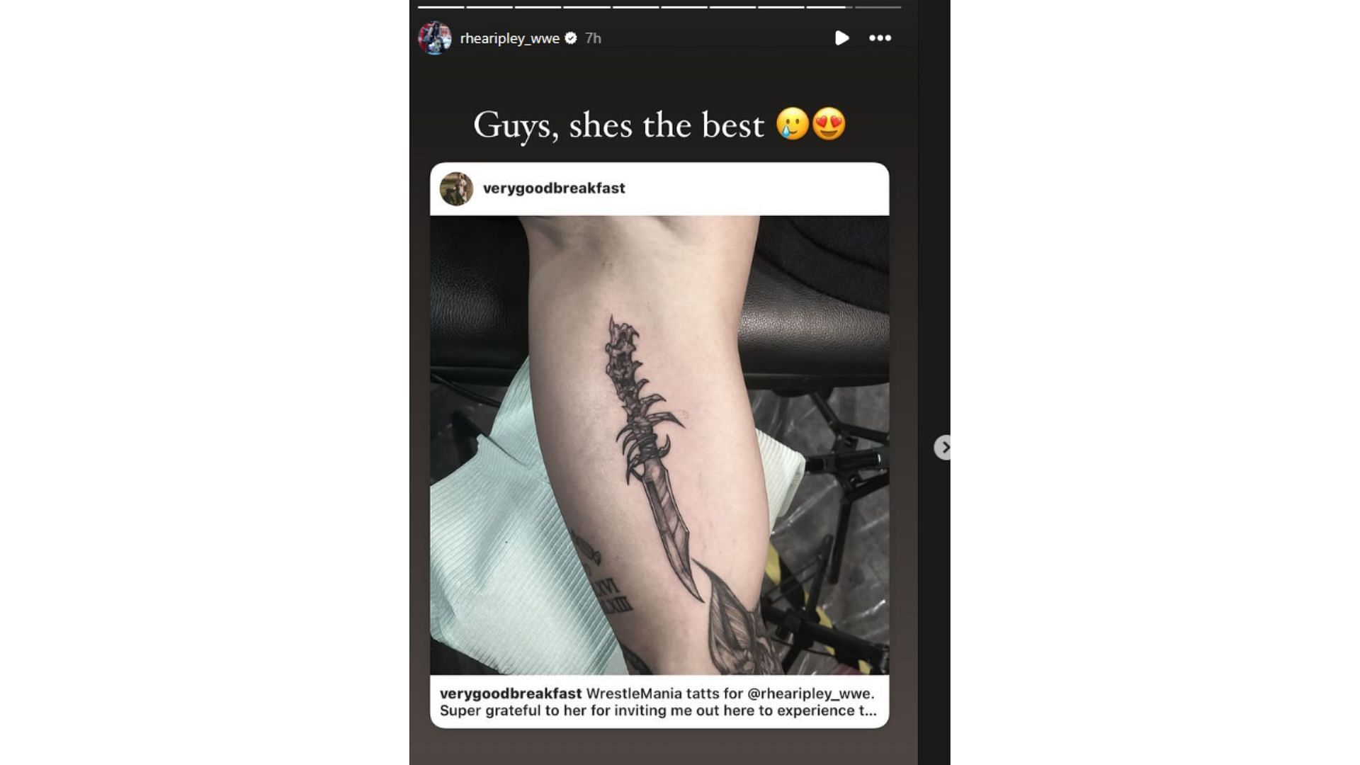 Screengrab of Rhea Ripley's Instagram story.